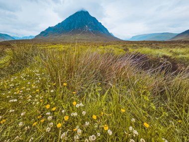 Buachaille Etive Mor - Glen Coe Vadisi - İskoçya