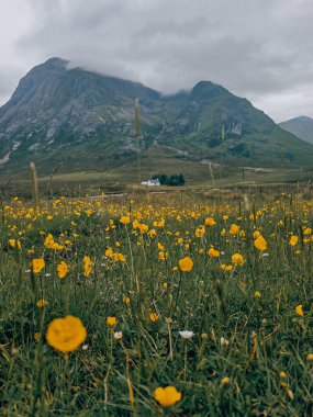 İskoçya 'daki Glen Coe Vadisi