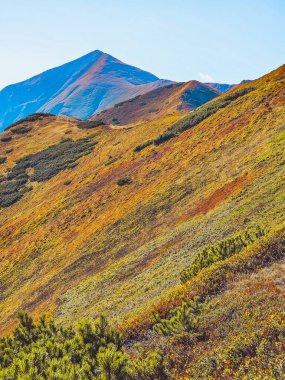 Konczysty Wierch Dağı ve Starorobocianski Wierch Dağı - Batı Tatras - Polonya