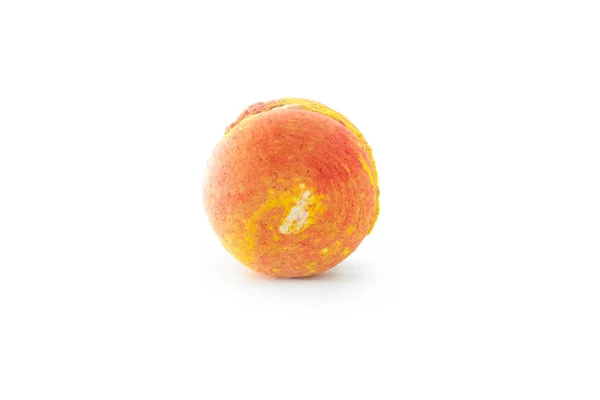 Macaron Français Orange Isolé Sur Fond Blanc Macarons Colorés Savoureux — Photo