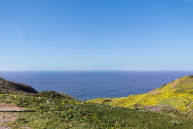 Cabo da Roca pelerini yeşil tepeler sarı çiçekler okyanus mavi gökyüzü manzara seyahat fotoğrafları Portekiz