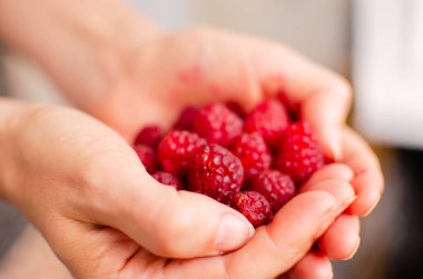 Bir avuç dolusu tatlı, olgun kırmızı ahududu yaz meyveleri kadın avuçlarında eller arka planda bulanık yemek fotoğraflarında.