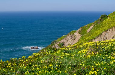 Cabo da Roca pelerini yeşil tepeler sarı çiçekler okyanus mavi gökyüzü manzara seyahat fotoğrafları Portekiz