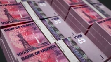 Uganda parası. Üç boyutlu animasyon. Döngüsüz finans, nakit, ekonomi, iş ve banka kavramı. Kamera 10000 UGX banknot destesi üzerinde hareket ediyor.