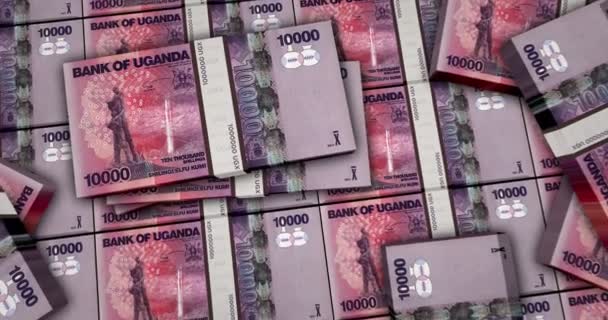 Uganda Money Shilling Banknotes Animation Camera View Close Long Distance — Stock Video