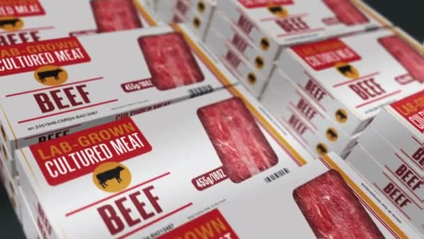 Linha Produção Caixa Cultivada Laboratório Carne Cultivada Carne Sintética Fábrica — Vídeo de Stock