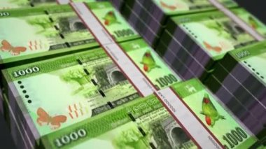 Sri Lanka parası Sri Lanka para paketi 3D animasyon. Döngüsüz finans, nakit, ekonomi, iş ve banka kavramı. Kamera 1000 LKR banknot destesi üzerinde hareket ediyor.
