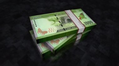 Sri Lanka parası Sri Lanka Rupi para yığını. Ekonomi, bankacılık, iş, kriz, durgunluk, borç ve finans konularının kavramı. 1000 LKR banknotları 3D animasyon yığınları.