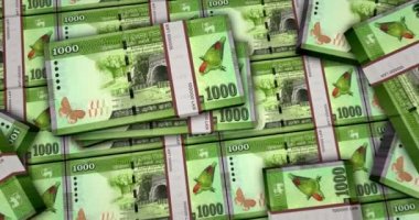 Sri Lanka parası Sri Lanka Rupisi 3D animasyon içeriyor. Kamera görüntüsü şehirlerarası. LKR para paketleri. Enflasyon, ekonomi, kriz, iş, bankacılık, borç ve finans kavramı.