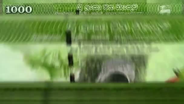 Dinero Sri Lanka Rupia Sri Lanka Máquina Contar Dinero Con — Vídeos de Stock
