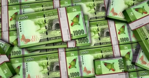 斯里兰卡货币斯里兰卡卢比现钞3D动画 摄像机从近到远的距离观看 Lkr钱袋 通货膨胀 债务和金融概念 — 图库视频影像
