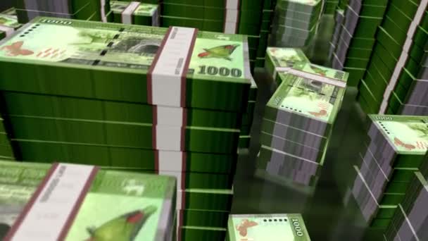 Sri Lanka Pieniądze Sri Lanki Rupee Banknoty Pakiety Pętli Lot — Wideo stockowe
