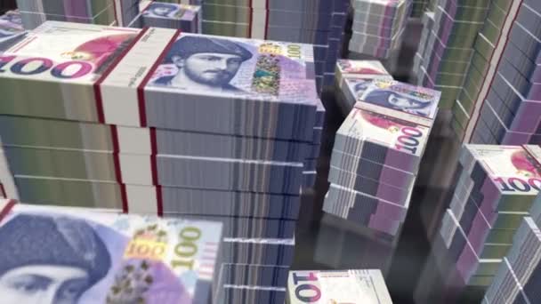 Georgia Money Georgian Lari Money Notes Packs Loop Flight 100 — Stok video