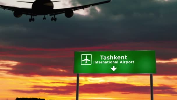 비행기 실루엣은 우즈베키스탄 타슈켄트에 표지와 일몰을 배경으로 비행기 — 비디오