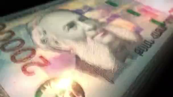 Armenia Pieniądze Armenian Dram Liczenie Pieniędzy Banknoty Amd Szybkie Liczenie — Wideo stockowe