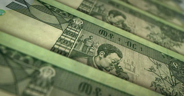埃塞俄比亚比尔印刷3D插图 100个Etb钞票打印 埃塞俄比亚的金融 经济危机 商业成功 税收和债务概念 — 图库照片
