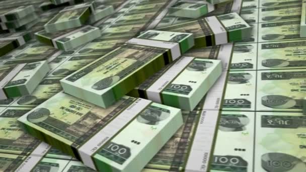 Ethiopië Geld Ethiopische Birr Bankbiljet Bundel Lus Etb Geld Stapelt — Stockvideo