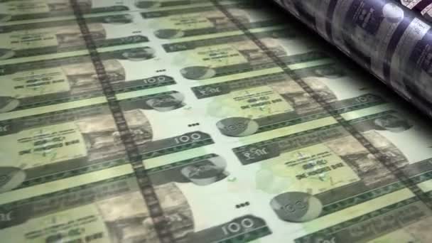Ethiopië Geld Ethiopische Birr Geld Bankbiljetten Afdrukken Roll Machine Lus — Stockvideo