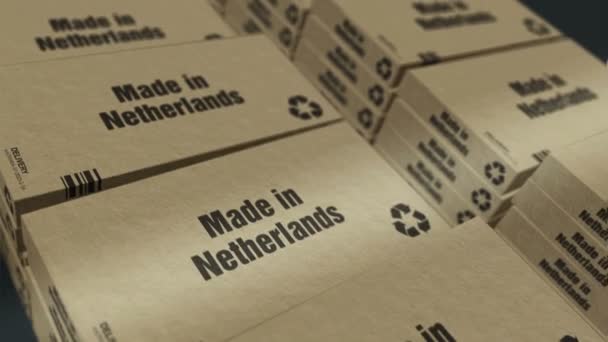 Сделано Голландской Линии Производству Коробок Производство Доставка Фабрика Продукции Импорт — стоковое видео