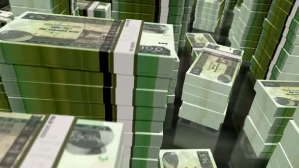 Ethiopië Geld Ethiopische Birr Bankbiljetten Packs Loop Vlucht Meer Dan — Stockvideo