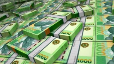 Arnavutluk Arnavutluk 'tan Arnavut Lek banknotlarına para aktarıyor. Hepsi para yığını. İş, ekonomi, bankacılık ve finans kavramı. Para paketlerinin üzerinde kamera var. Döngüsüz 3D canlandırma.