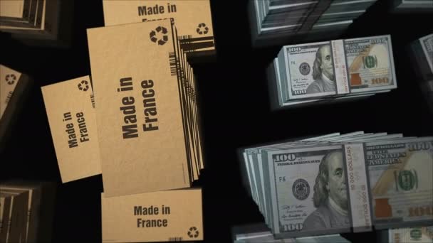 用美元包扎成的法国纸盒 采购产品出口 商业和进口 概念3D可漏洞无缝动画 — 图库视频影像