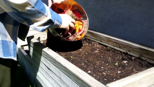 Kompost Organického Odpadu Člověk Vyhazuje Kuchyňské Zeleninové Ovoce Vaječné Skořápky — Stock video