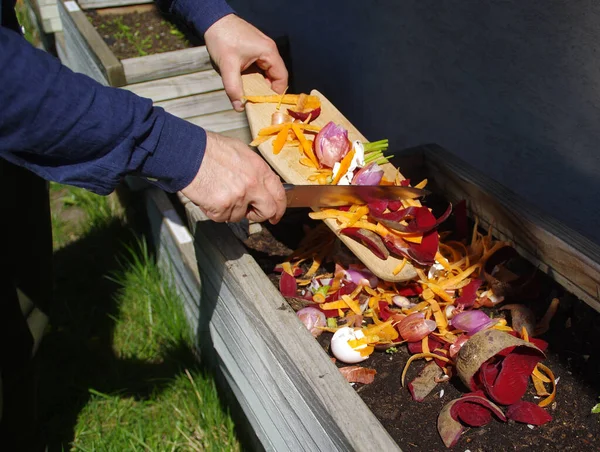 Kompost Odpadów Organicznych Człowiek Wyrzuca Warzywa Kuchni Owoce Skorupki Jaj — Zdjęcie stockowe