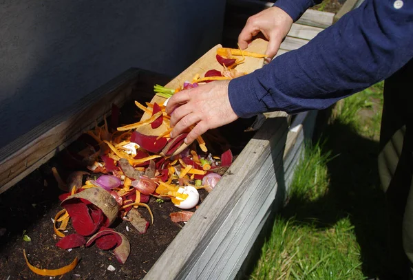 Kompost Odpadów Organicznych Człowiek Wyrzuca Warzywa Kuchni Owoce Skorupki Jaj — Zdjęcie stockowe