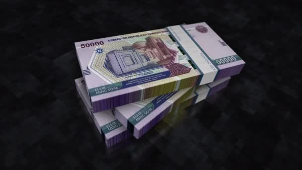 Uzbekistan Money Uzbek Sum Money Pile Pack Concept Background Economy — Stock Video