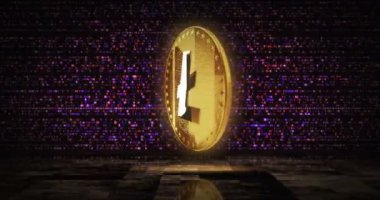 Litecoin LTC şifreleme altın sikkesi dijital ekran döngüsü arka planında. Dönen altın metal döngüsü soyut kavram. 3B döngü kusursuz canlandırma.