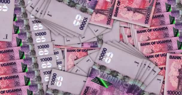 ウガンダのお金シリングお金の山パック ビジネス 金融の概念的背景 10000 Ugx銀行券は3Dアニメーションをスタック — ストック動画