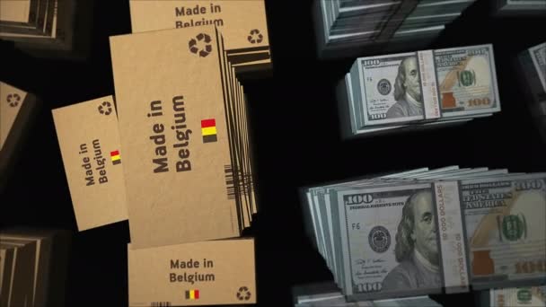 Hergestellt Belgien Box Line Mit Dollar Geldbündel Stacks Export Handel — Stockvideo