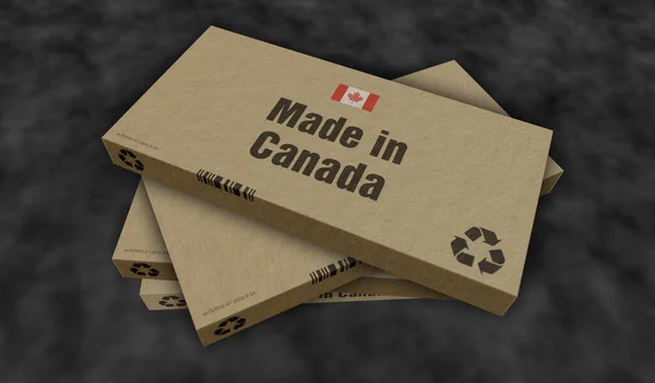 Kanada Kutu Üretim Hattında Üretildi Üretim Teslimat Ürün Fabrikası Ithalat — Stok fotoğraf