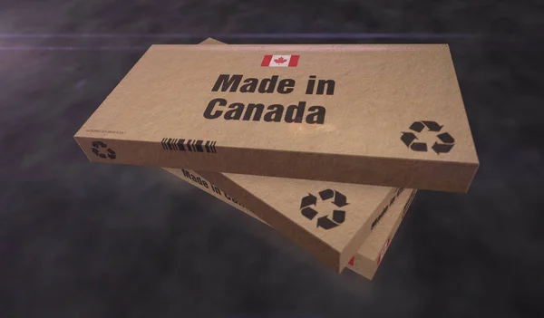 Κατασκευασμένο Στην Καναδική Γραμμή Παραγωγής Κουτιών Παραγωγή Και Παράδοση Εργοστάσιο — Φωτογραφία Αρχείου