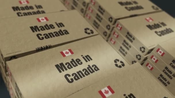 Feito Linha Produção Caixa Canadá Fabricação Entrega Fábrica Produtos Importação — Vídeo de Stock