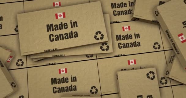 Wyprodukowano Kanadzie Linię Produkcyjną Pudełek Produkcja Dostawa Fabryka Import Eksport — Wideo stockowe