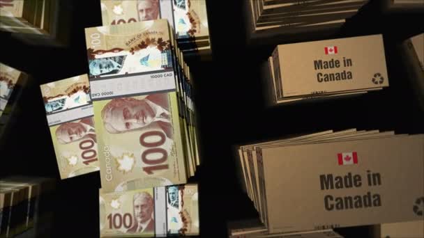 Tillverkad Kanada Box Linje Med Kanadensiska Dollar Pengar Bunt Stackar — Stockvideo