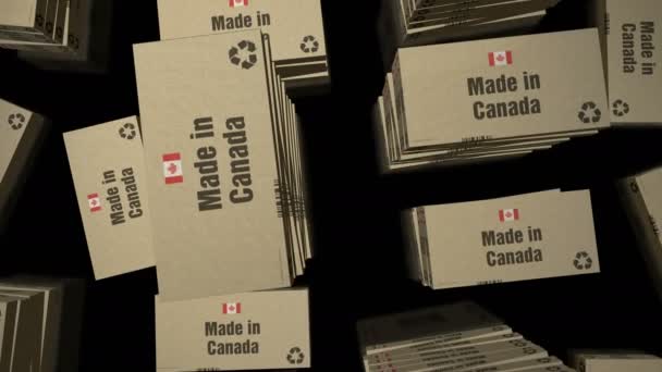 Зроблено Канаді Виробнича Лінія Коробки Виробництво Доставка Фабрика Продукції Імпорт — стокове відео