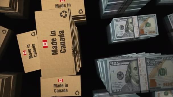 Wyprodukowano Kanadyjskiej Linii Pudełkowej Pakietami Pieniędzy Dolara Amerykańskiego Eksport Handel — Wideo stockowe
