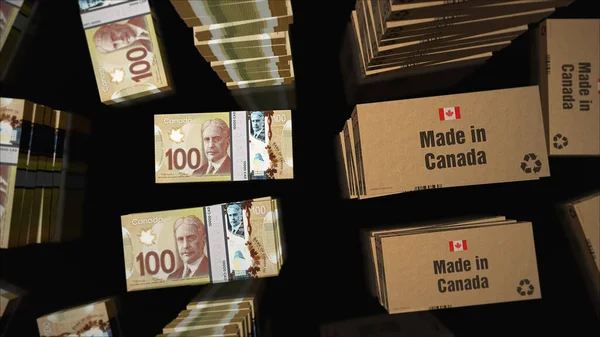 加拿大制纸盒行 用加拿大元货币捆扎成捆 采购产品出口 商业和进口 抽象概念3D说明 — 图库照片