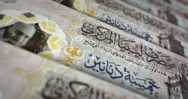 Libya parası Libya Dinar banknot döngüsü. LYD para dokusu. Ekonomi, iş, kriz, bankacılık, durgunluk, borç ve finans kavramı. Notayı kaydırıyorum. Döngüsüz 3D canlandırma.