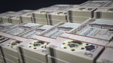 Libya parası Libya Dinar banknotları büyüme döngüsü. LYD para yığınları. Para paketi, bankacılık, seyahat, iş, ekonomi ve finans kavramı. Döngüsüz 3D canlandırma.