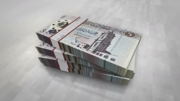 Libya Parası Libya Dinarı Para Yığını Ekonomi Bankacılık Kriz Durgunluk — Stok video