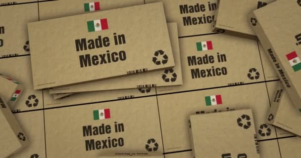 Κατασκευασμένο Στη Γραμμή Παραγωγής Κουτιών Του Μεξικού Παραγωγή Και Παράδοση — Αρχείο Βίντεο