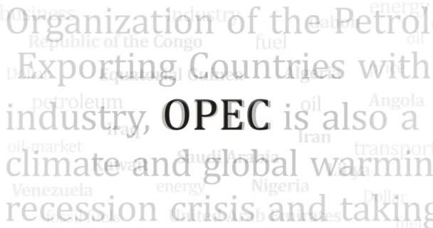 Opec石油输出国组织 Opec 简称Opec 简称Opec 欧佩克 石油出口协会 Opec 简称Opec 简称Opec 欧佩克 — 图库视频影像