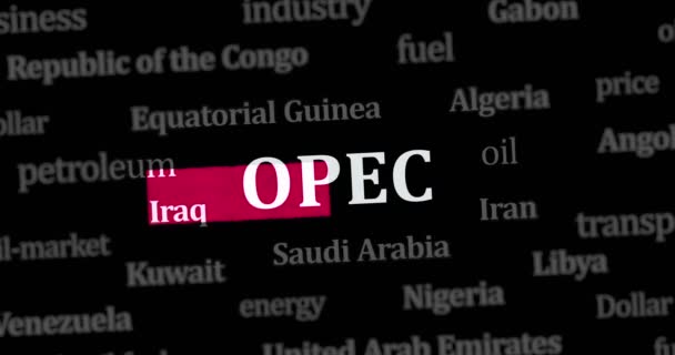 Opec Organisation Petroleum Exporterande Länder Oljeproducerande Exportförening Nyheter Titlar Över — Stockvideo