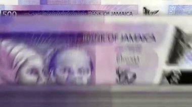 Jamaika parası Jamaika Doları para sayma makinesi ve banknotlar. Hızlıca 500 JMD 'lik banknot düşür. İş ve ekonomi. Kavramsal ve pürüzsüz arkaplan.