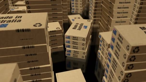 オーストラリアの箱の生産ラインで作られる 製造と配達について プロダクト工場 輸入および輸出 抽象概念3Dレンダリングループ可能なシームレスアニメーション スタック間を飛ぶカメラ — ストック動画