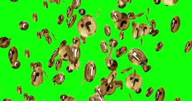 TrueUSD ahır bozuk para TUSD kripto para birimi altın sikke yağmuru arka planını izole etti. Dönen altın metal sikkeler düşen döngüler soyut kavramlardır. Yeşil ekranda döngü ve kusursuz animasyon.